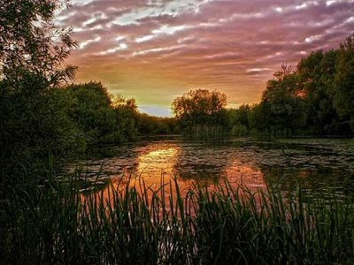 Brandesburton Burshill A Pond