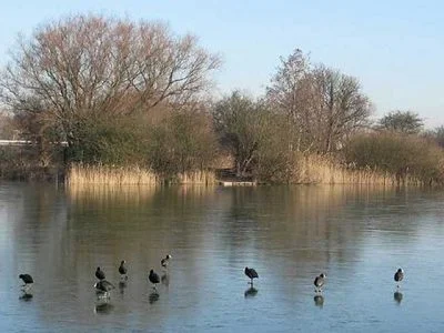 Brough Fishery Complex View