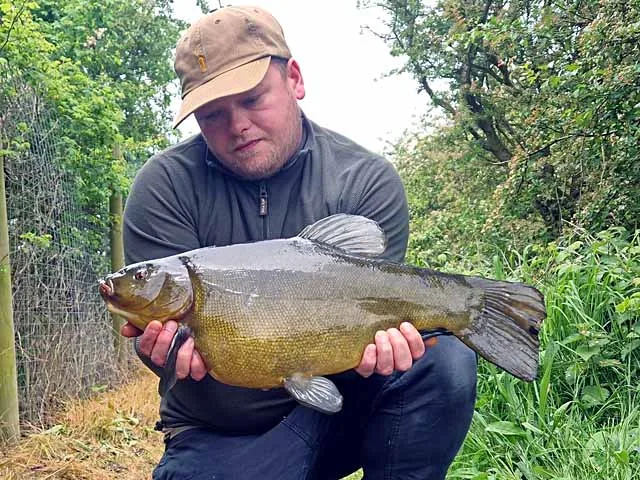 Tench caught at Burshill