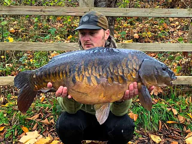 Carp caught at Motorway Pond